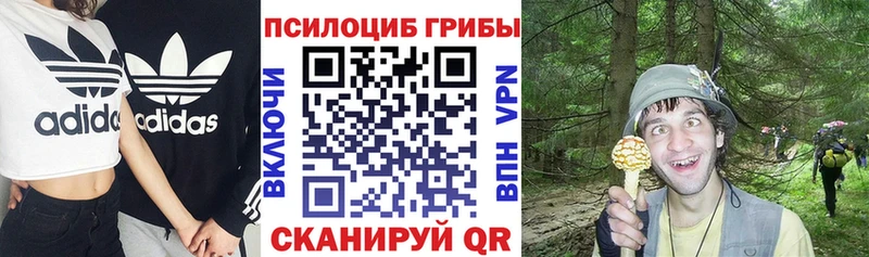 Галлюциногенные грибы Psilocybe  Мичуринск 