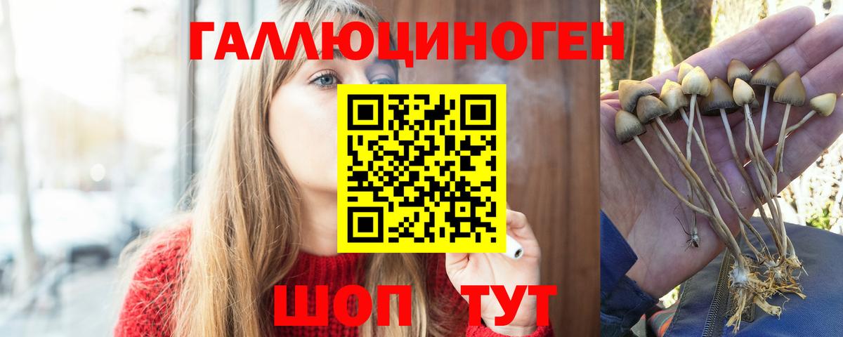 Мичуринск  Псилоцибиновые грибы GOLDEN TEACHER  Вход с VPN 